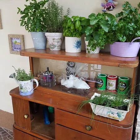 In Вилла Grizane-Belgrad