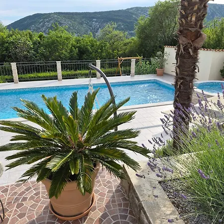 Villa In