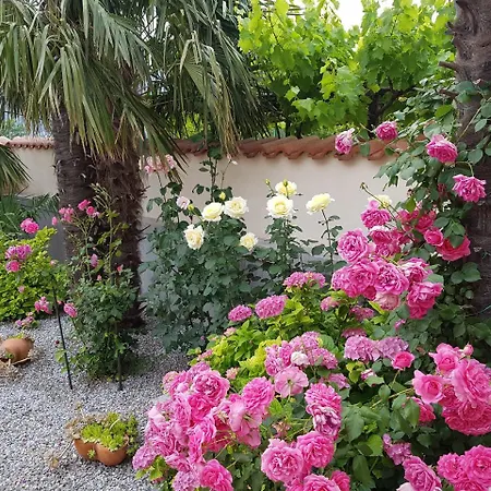 In Villa Grizane-Belgrad