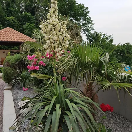 In Вилла *